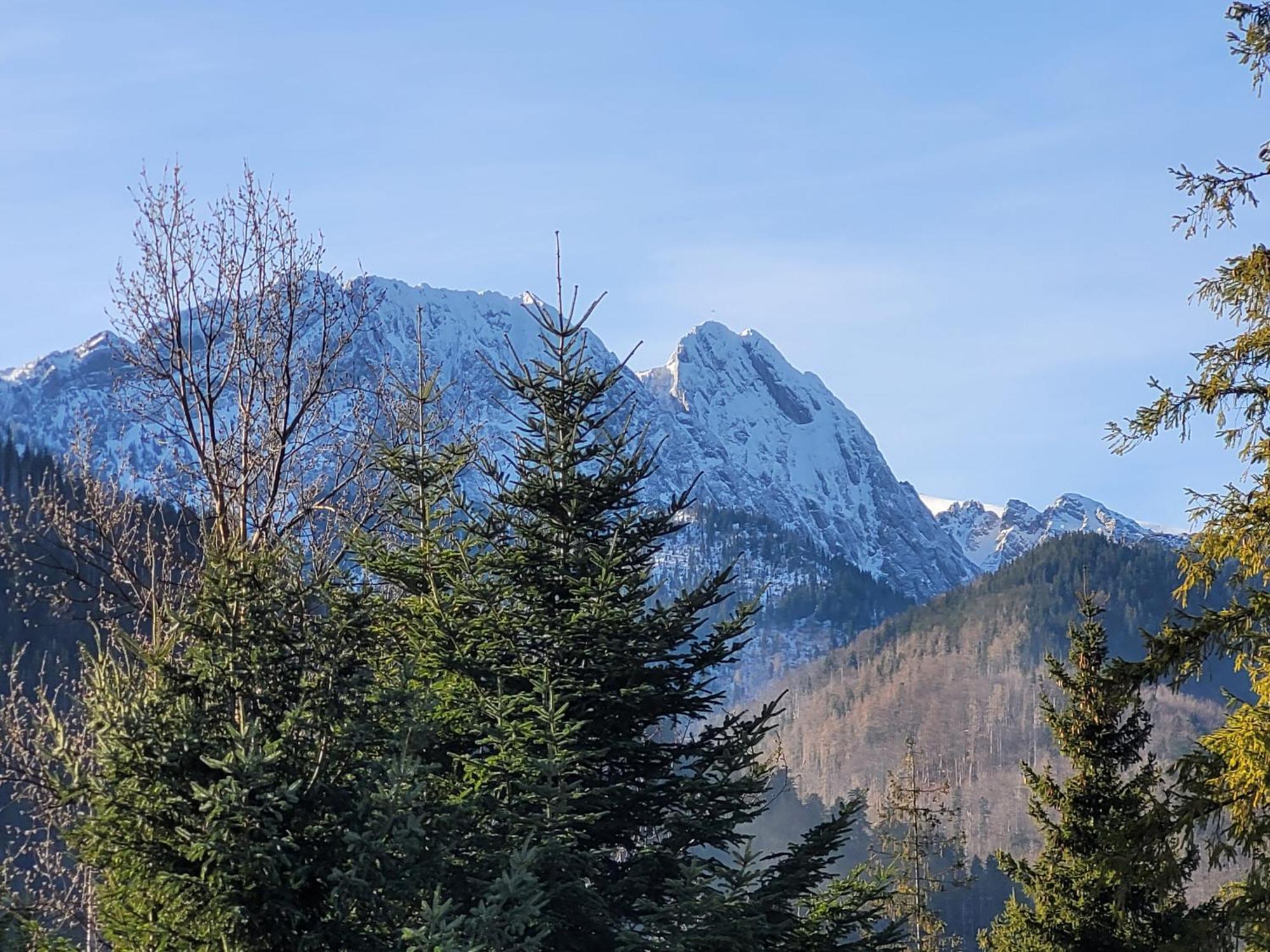 Pokoje Goscinne "Tecza" Zakopane Luaran gambar